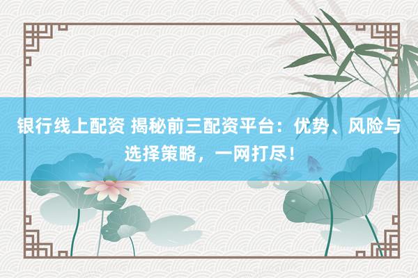 银行线上配资 揭秘前三配资平台：优势、风险与选择策略，一网打尽！