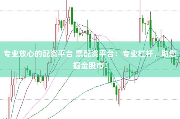 专业放心的配资平台 票配资平台：专业杠杆，助您掘金股市！