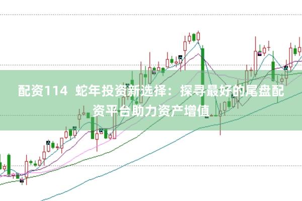 配资114  蛇年投资新选择：探寻最好的尾盘配资平台助力资产增值