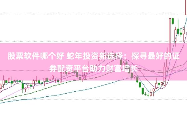 股票软件哪个好 蛇年投资新选择：探寻最好的证券配资平台助力财富增长