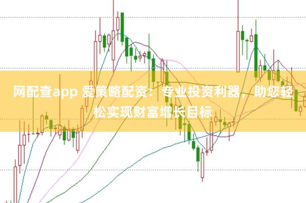 网配查app 爱策略配资：专业投资利器，助您轻松实现财富增长目标