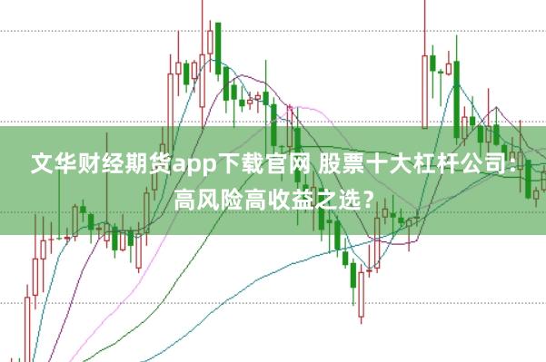 文华财经期货app下载官网 股票十大杠杆公司：高风险高收益之选？