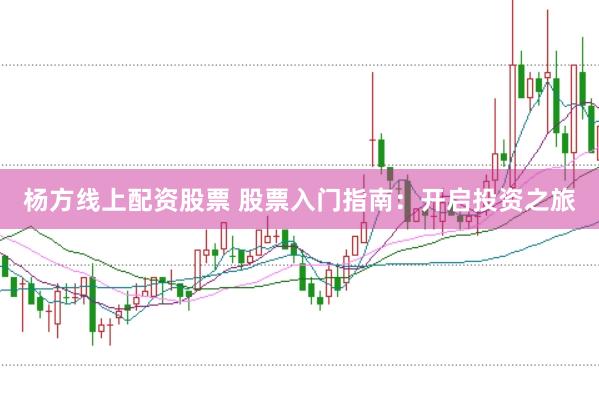 杨方线上配资股票 股票入门指南：开启投资之旅