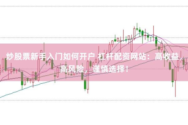 炒股票新手入门如何开户 杠杆配资网站：高收益，高风险，谨慎选择！