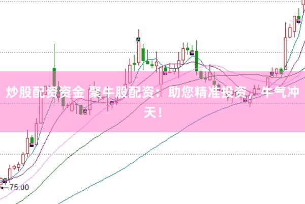 炒股配资资金 聚牛股配资：助您精准投资，牛气冲天！