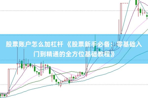 股票账户怎么加杠杆 《股票新手必备:零基础入门到精通的全方位基础教程》