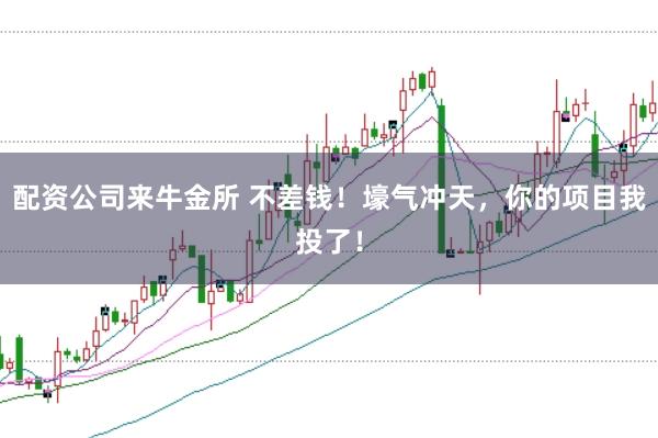 配资公司来牛金所 不差钱！壕气冲天，你的项目我投了！