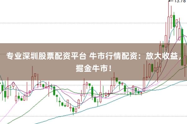 专业深圳股票配资平台 牛市行情配资:放大收益,掘金牛市!