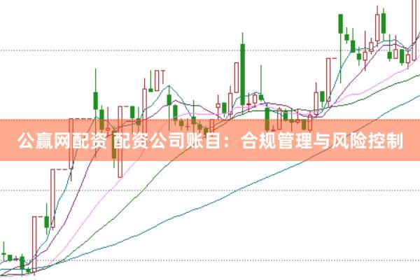 公赢网配资 配资公司账目：合规管理与风险控制