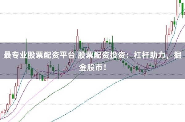 最专业股票配资平台 股票配资投资：杠杆助力，掘金股市！