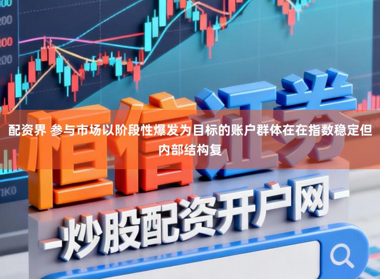 配资界 参与市场以阶段性爆发为目标的账户群体在在指数稳定但内部结构复