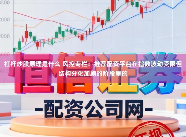 杠杆炒股原理是什么 风控专栏：推荐配资平台在指数波动受限但结构分化加剧的阶段里的