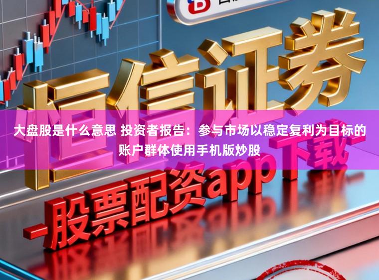 大盘股是什么意思 投资者报告：参与市场以稳定复利为目标的账户群体使用手机版炒股